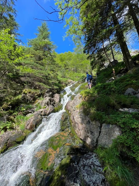 bergen-magical-nature-tour-viflowexperience