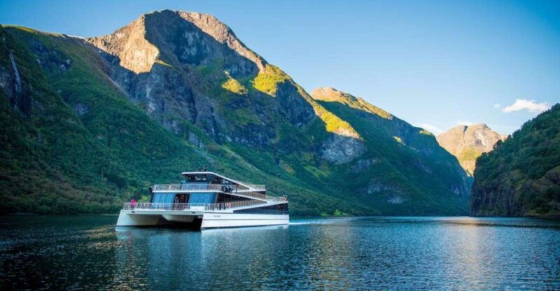bergen-naeroyfjord-cruise-and-flam-railway-ride-to-oslo