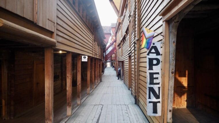 bergen-private-tour-in-your-own-language