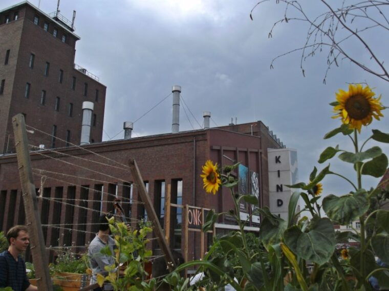 berlin-schillerkiez-and-rollberg-walking-tour