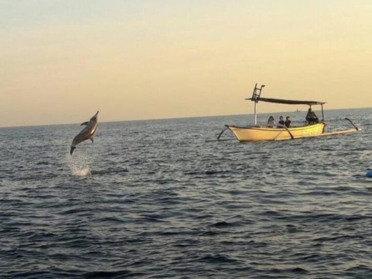best-lovina-sunrise-dolphins-watching-tour