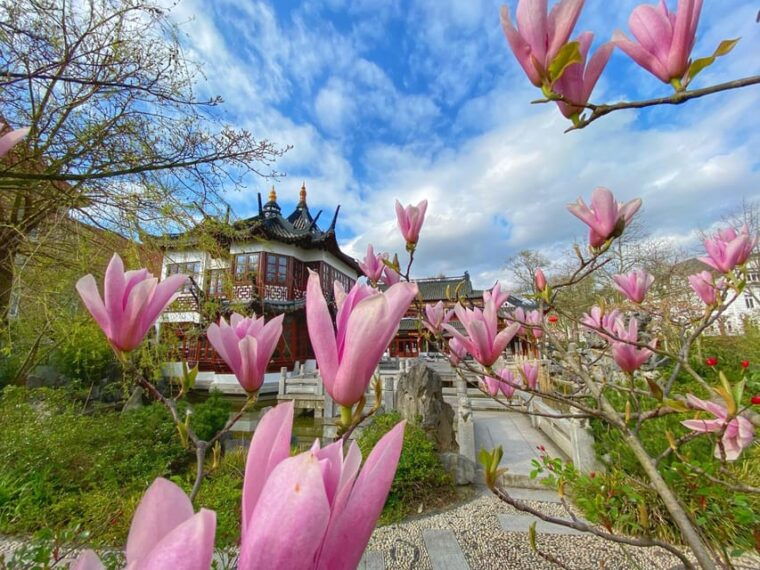 bike-tour-around-the-alster-through-dreamy-alster-neighborhoods