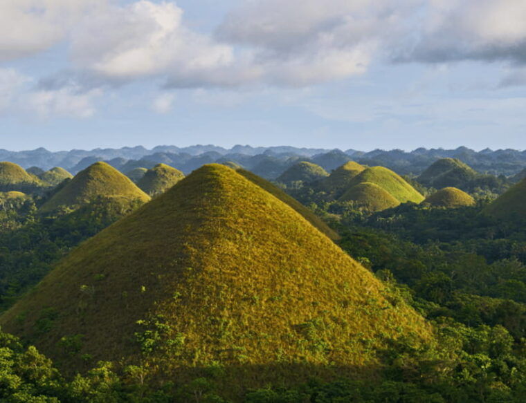 bohol-choco-tour-tarsiers-with-lunch