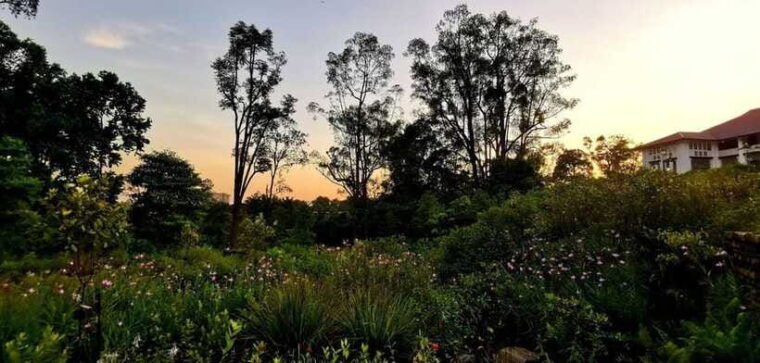 botanic-gardens-tiong-bahru-walking-tour-with-breakfast