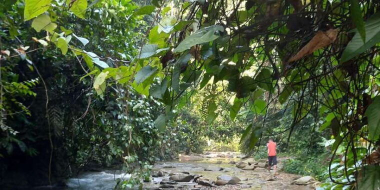 bukit-lawang-jungle-trekking-and-rafting-day-trip