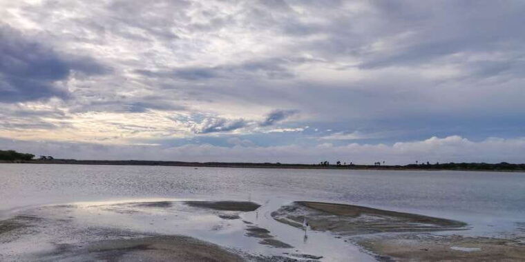 bundala-national-park-3-hour-morning-or-evening-safari