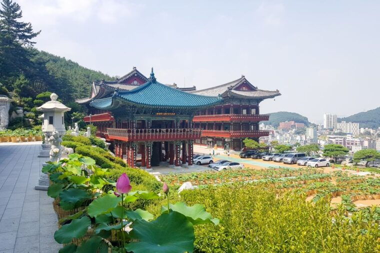 busan-day-trip-with-gamcheon-culture-village-and-sky-walk