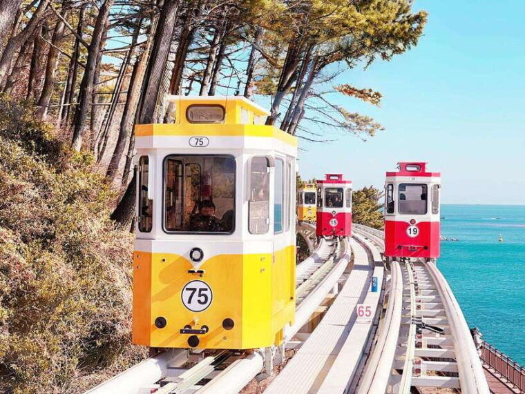 busan-max-out-city-highlights-full-day-tour