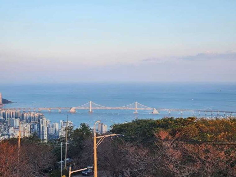 busan-night-view-tour-yacht-hwangnyeongsan-mountain