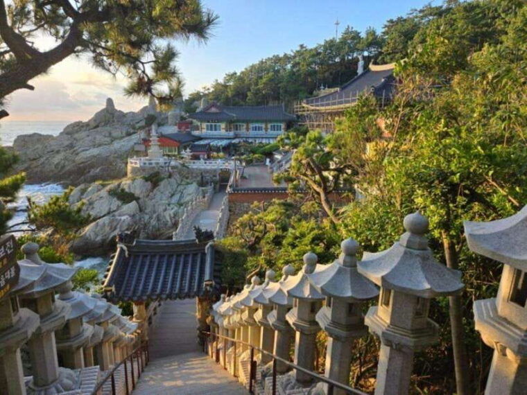 busan-private-full-day-tour-by-ktx-from-seoul
