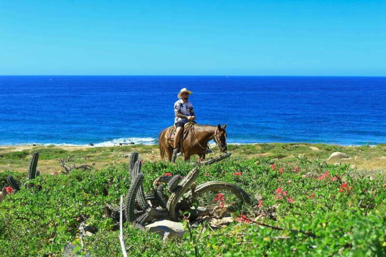 cabo-san-lucas-horseback-riding-in-migrino-with-transfers