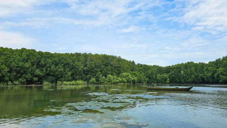 can-gio-mangrove-wildlife-day-tour-by-speedboat-from-hcmc