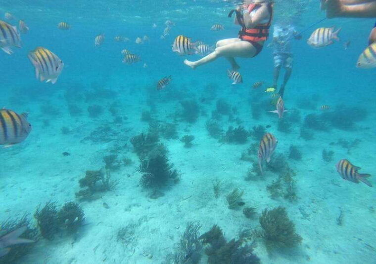 cancun-isla-mujeres-catamaran-tour-with-lunch-and-snorkel