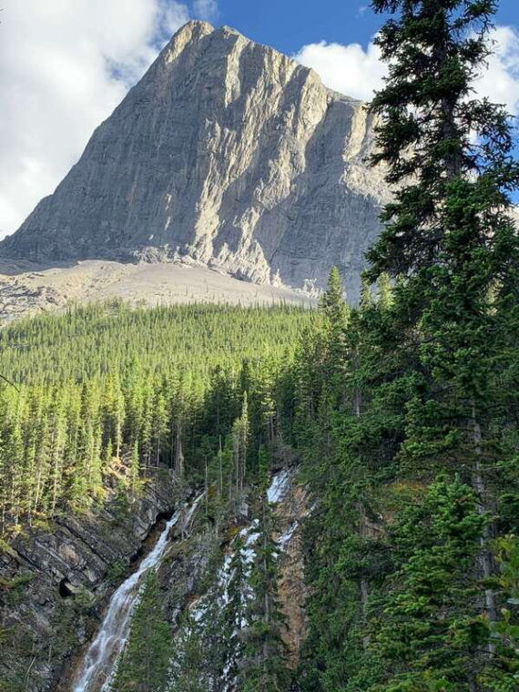 canmore-private-safari-drive-to-banff-park-nature-walk