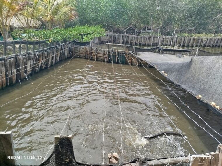 cartagena-fishermens-island-in-the-mangroves-by-canoe
