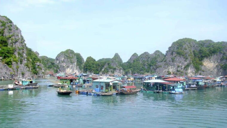 cat-ba-2-days-trip-luxury-cruise-national-park-beach