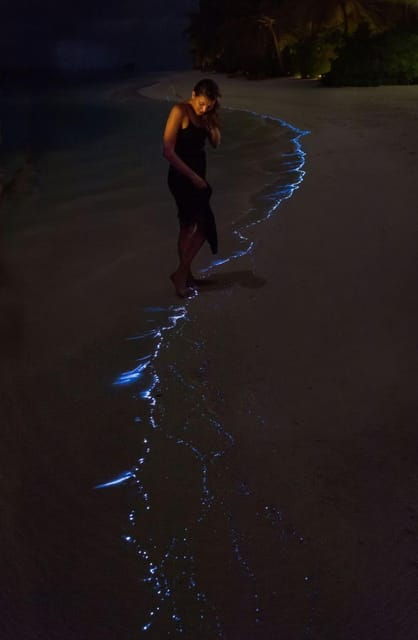 cat-ba-sunset-and-plankton-bioluminescent-night-kayak