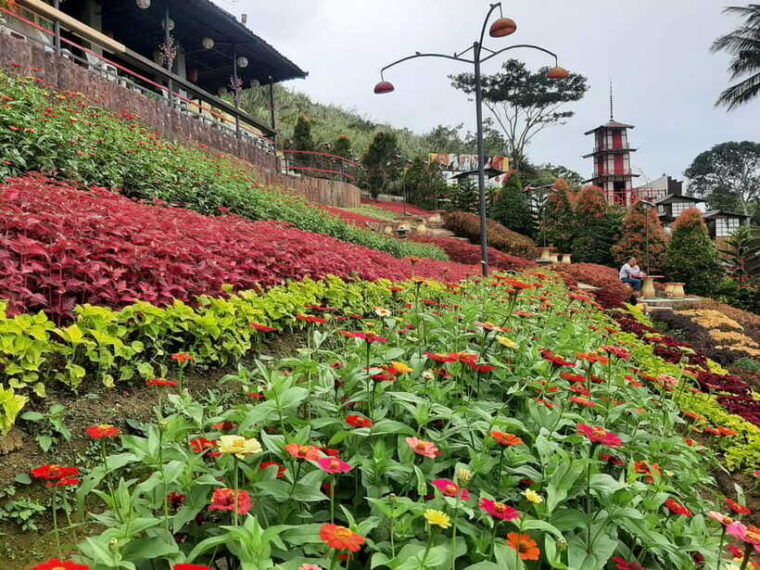 cebu-city-cultural-heritage-tour-10000-roses-visit