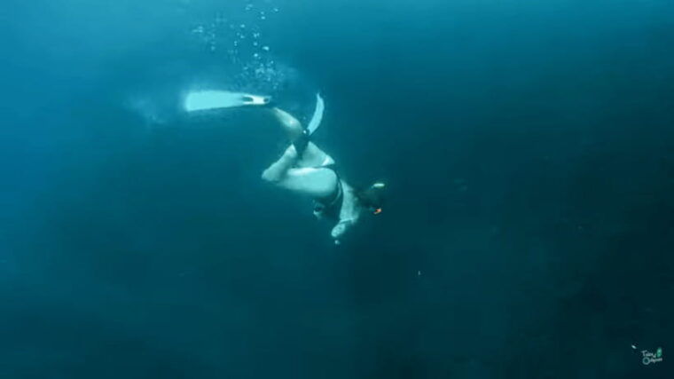 cebu-moalboal-snorkeling-kawasan-canyoneering-adventure