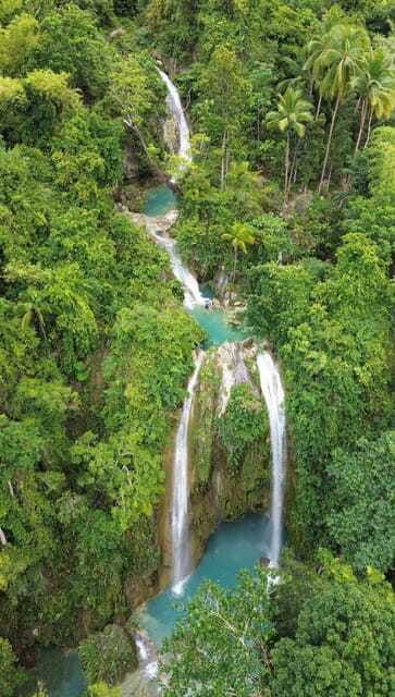 cebu-oslob-whalesharkinambakan-falls-moalboal-sardines-run