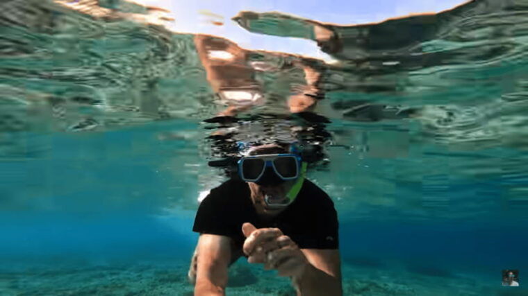 cebu-osmena-peak-hike-and-moalboal-snorkeling-escape