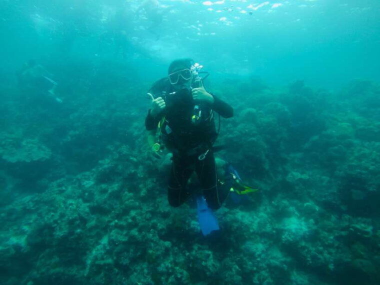 cebu-scuba-diving-with-sardines-and-pescador-island-snorkel