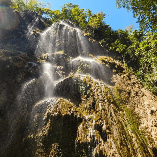 cebu-whale-sharks-tumalog-falls-sumilon
