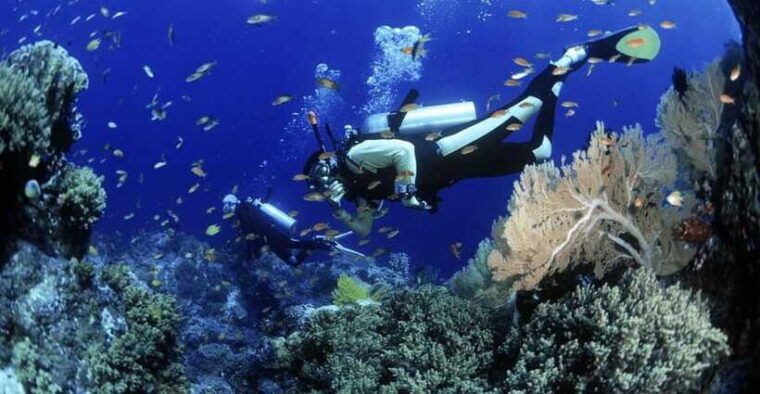 cham-islands-snorkeling-tour-by-speedboat-hoi-an-da-nang-2