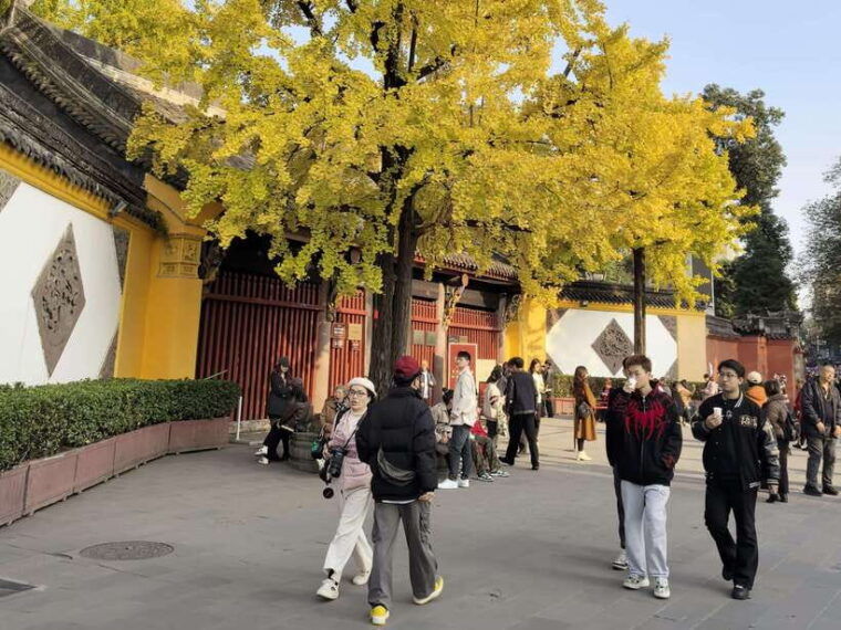 chengdu-panda-base-kuanzhai-alley-english-guide