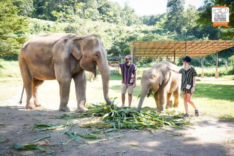 chiang-mai-elephant-jungle-sanctuary-mama-noi-cooking-class