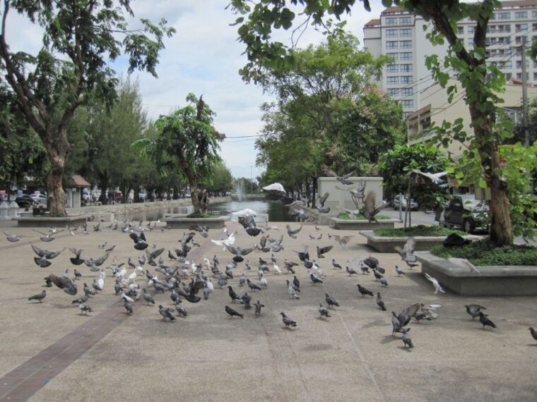 chiang-mai-guided-historical-city-tour-by-bike-with-lunch