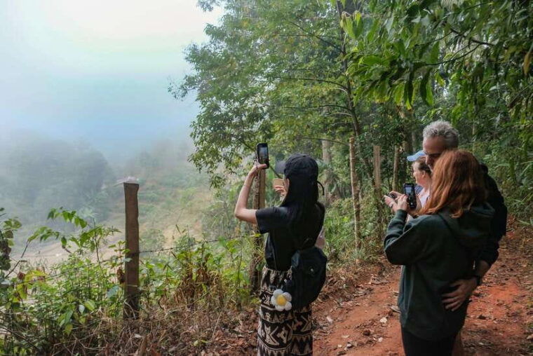 chiangmai-hilltribe-coffee-forest-trek-plant-roast-brew