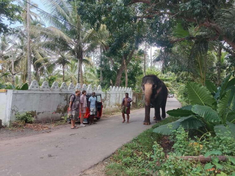 city-tour-discover-aluthgama-with-thrilling-adventures