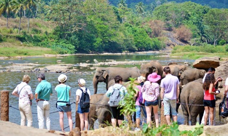 colombo-6-day-private-trip-culture-nature-wildlife-beach