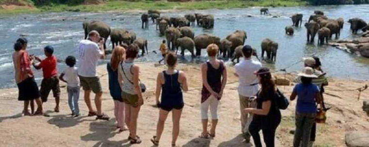 colombo-kandy-and-pinnawala-full-day-trip