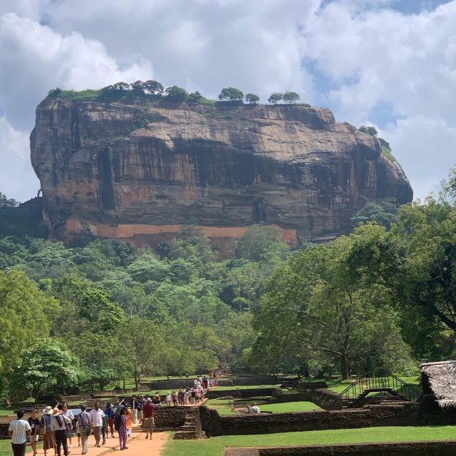 colombo-sigiriya-rock-dambulla-and-minneriya-national-park