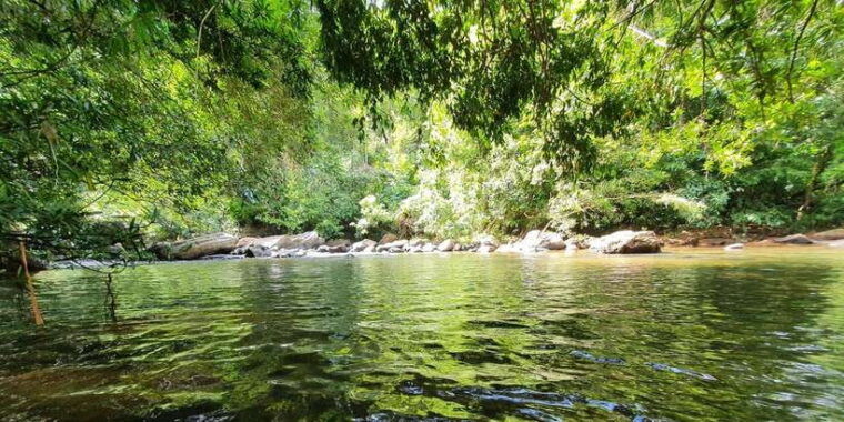 colombo-water-rafting-bird-watching-village-rainforest
