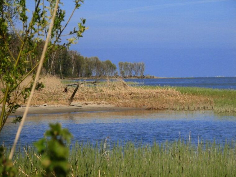 copernicus-trail-in-frombork-private-tour-from-gdansk-by-car