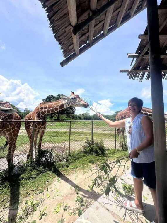 coron-calauit-safari-black-island-lunch-transfer-included