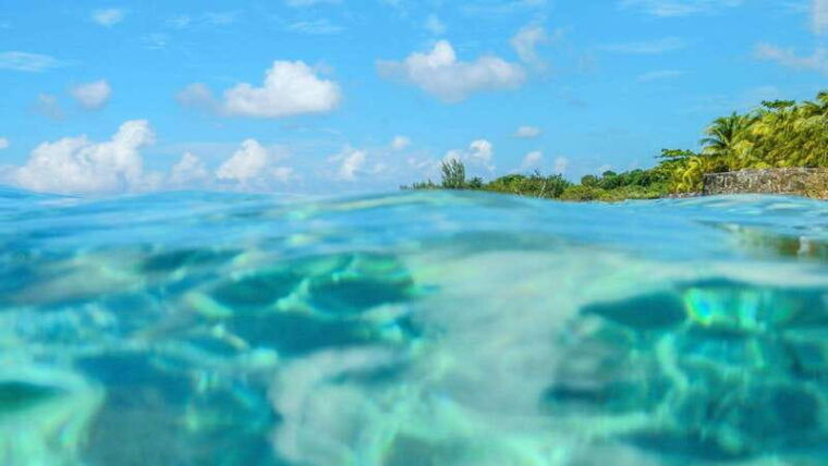 cozumel-transparent-boat-tour