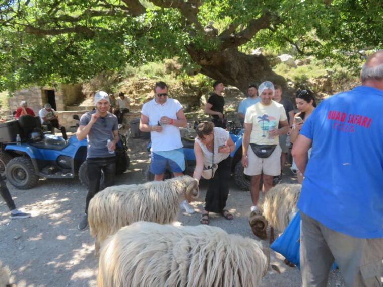 crete-quad-safari-off-roadbreathtaking-sceneryamazing-view