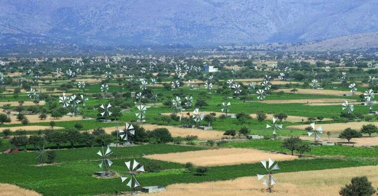 crete-visit-cave-of-zeus-taste-0live-oil-and-cretan-food