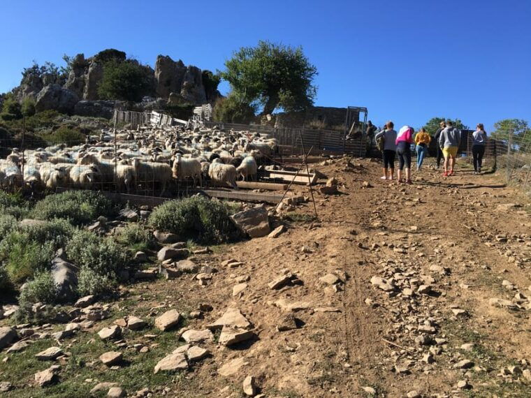 crete-white-mountains-preserve-day-tour