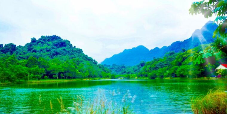 cuc-phuong-forest-the-forest-of-thousands-of-butterflies