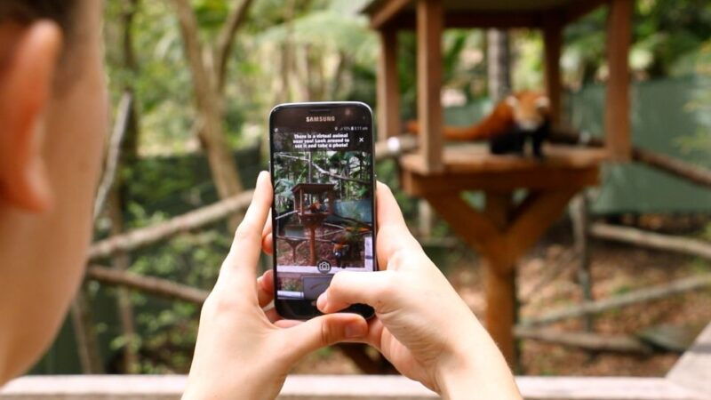 currumbin-wildlife-sanctuary-entry-ticket