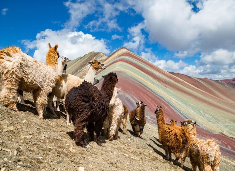 cusco-machu-picchu-and-rainbow-mountain-5-days-tour