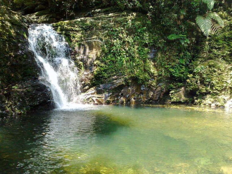 da-nang-bach-ma-national-park-trek-and-beach-retreat