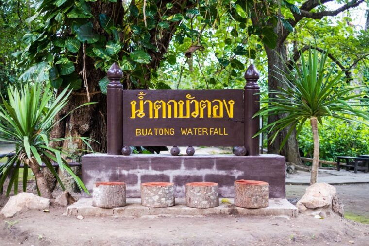 day-tour-in-chiang-mai-i-waterfall-i-dantewada-i-doi-suthep