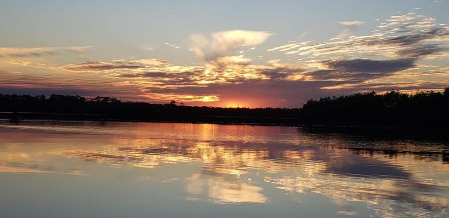 Daytona/New Smyrna Beach: Unforgettable Kayak Wildlife Tours
