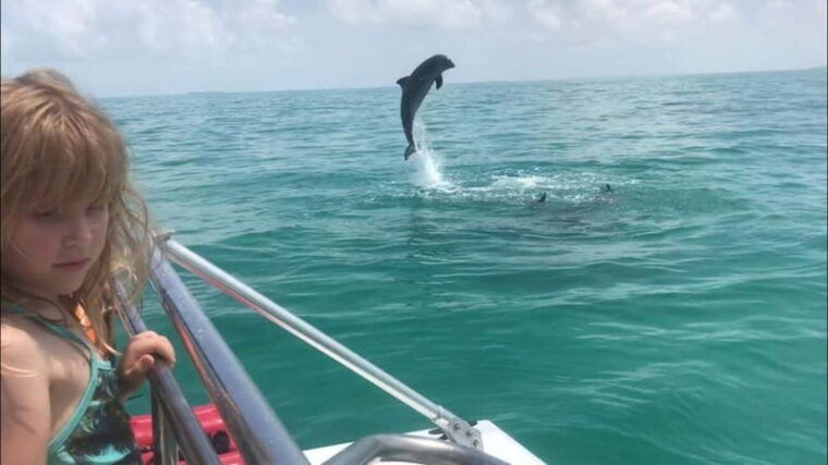 destin-dolphin-watching-cruise-2